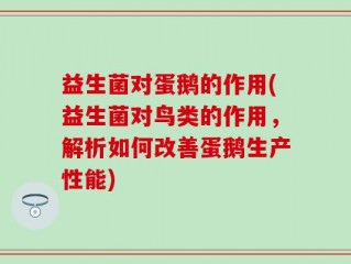 益生菌对蛋鹅的作用(益生菌对鸟类的作用，解析如何改善蛋鹅生产性能)