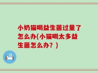 小奶猫喝益生菌过量了怎么办(小猫喝太多益生菌怎么办？)