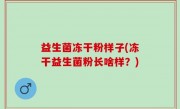 益生菌冻干粉样子(冻干益生菌粉长啥样？)