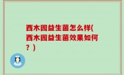西木园益生菌怎么样(西木园益生菌效果如何？)