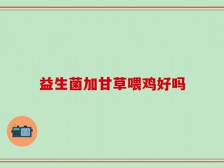 益生菌加甘草喂鸡好吗