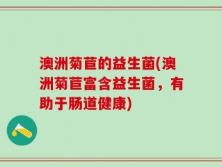 澳洲菊苣的益生菌(澳洲菊苣富含益生菌，有助于肠道健康)