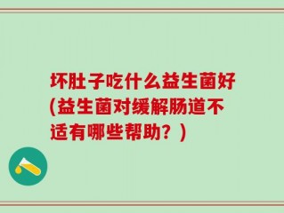 坏肚子吃什么益生菌好(益生菌对缓解肠道不适有哪些帮助？)