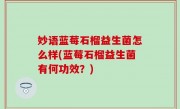 妙语蓝莓石榴益生菌怎么样(蓝莓石榴益生菌有何功效？)