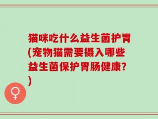 猫咪吃什么益生菌护胃(宠物猫需要摄入哪些益生菌保护胃肠健康？)