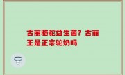 古丽骆驼益生菌？古丽王是正宗驼奶吗