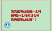 洪光蓝莓益生菌什么时候喝(什么时间适合喝洪光蓝莓益生菌？)