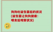 狗狗吃益生菌后的状况(益生菌让狗狗健康：喂食后观察状况)