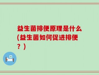 益生菌排便原理是什么(益生菌如何促进排便？)