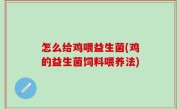 怎么给鸡喂益生菌(鸡的益生菌饲料喂养法)