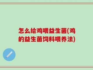 怎么给鸡喂益生菌(鸡的益生菌饲料喂养法)