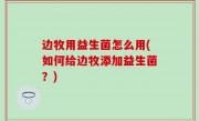 边牧用益生菌怎么用(如何给边牧添加益生菌？)