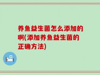 养鱼益生菌怎么添加的啊(添加养鱼益生菌的正确方法)