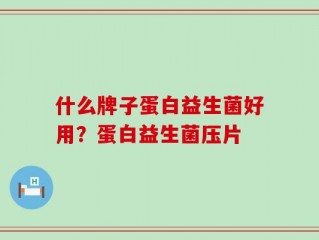 什么牌子蛋白益生菌好用？蛋白益生菌压片