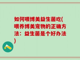如何喂博美益生菌吃(喂养博美宠物的正确方法：益生菌是个好办法)