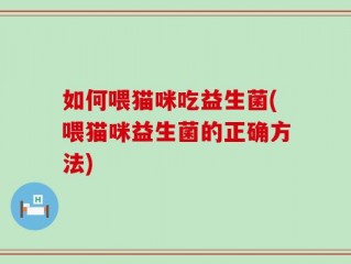 如何喂猫咪吃益生菌(喂猫咪益生菌的正确方法)