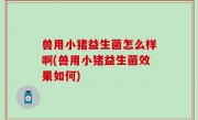 兽用小猪益生菌怎么样啊(兽用小猪益生菌效果如何)