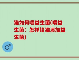 猫如何喂益生菌(喂益生菌：怎样给猫添加益生菌)