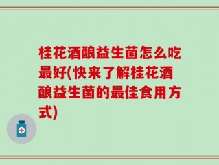 桂花酒酿益生菌怎么吃最好(快来了解桂花酒酿益生菌的最佳食用方式)