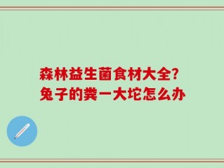 森林益生菌食材大全？兔子的粪一大坨怎么办