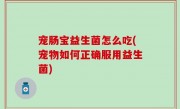 宠肠宝益生菌怎么吃(宠物如何正确服用益生菌)