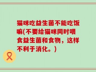 猫咪吃益生菌不能吃饭嘛(不要给猫咪同时喂食益生菌和食物，这样不利于消化。)