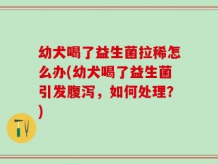 幼犬喝了益生菌拉稀怎么办(幼犬喝了益生菌引发腹泻，如何处理？)