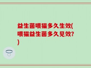 益生菌喂猫多久生效(喂猫益生菌多久见效？)