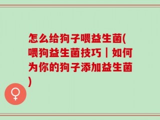 怎么给狗子喂益生菌(喂狗益生菌技巧｜如何为你的狗子添加益生菌)