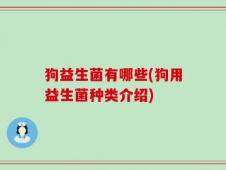 狗益生菌有哪些(狗用益生菌种类介绍)