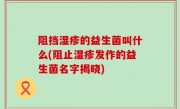 阻挡湿疹的益生菌叫什么(阻止湿疹发作的益生菌名字揭晓)