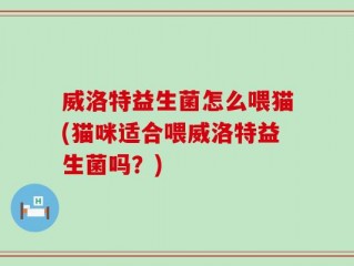 威洛特益生菌怎么喂猫(猫咪适合喂威洛特益生菌吗？)