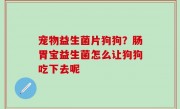 宠物益生菌片狗狗？肠胃宝益生菌怎么让狗狗吃下去呢