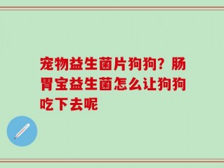 宠物益生菌片狗狗？肠胃宝益生菌怎么让狗狗吃下去呢