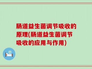 肠道益生菌调节吸收的原理(肠道益生菌调节吸收的应用与作用)