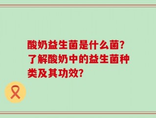 酸奶益生菌是什么菌？了解酸奶中的益生菌种类及其功效？