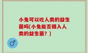 小兔可以吃人类的益生菌吗(小兔能否摄入人类的益生菌？)