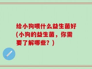 给小狗喂什么益生菌好(小狗的益生菌，你需要了解哪些？)