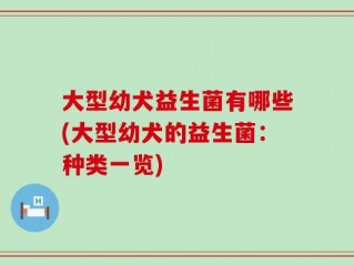 大型幼犬益生菌有哪些(大型幼犬的益生菌：种类一览)