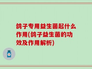 鸽子专用益生菌起什么作用(鸽子益生菌的功效及作用解析)