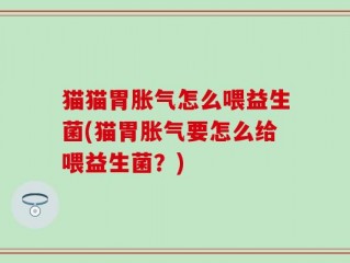 猫猫胃胀气怎么喂益生菌(猫胃胀气要怎么给喂益生菌？)