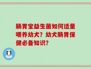肠胃宝益生菌如何适量喂养幼犬？幼犬肠胃保健必备知识？