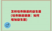 怎样培养肠道的益生菌(培养肠道健康：如何增加益生菌)
