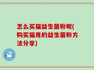 怎么买猫益生菌粉呢(购买猫用的益生菌粉方法分享)