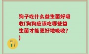 狗子吃什么益生菌好吸收(狗狗应该吃哪些益生菌才能更好地吸收？)