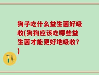 狗子吃什么益生菌好吸收(狗狗应该吃哪些益生菌才能更好地吸收？)