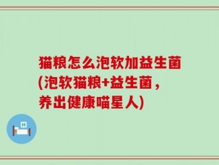 猫粮怎么泡软加益生菌(泡软猫粮+益生菌，养出健康喵星人)