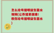 怎么给母猪喂益生菌水视频(让养猪更健康！教你给母猪喂益生菌水)