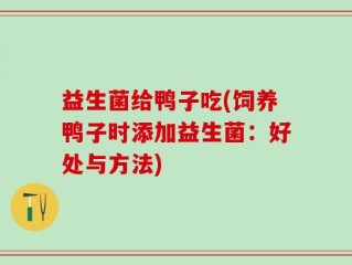 益生菌给鸭子吃(饲养鸭子时添加益生菌：好处与方法)