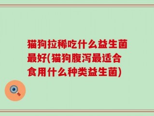 猫狗拉稀吃什么益生菌最好(猫狗腹泻最适合食用什么种类益生菌)